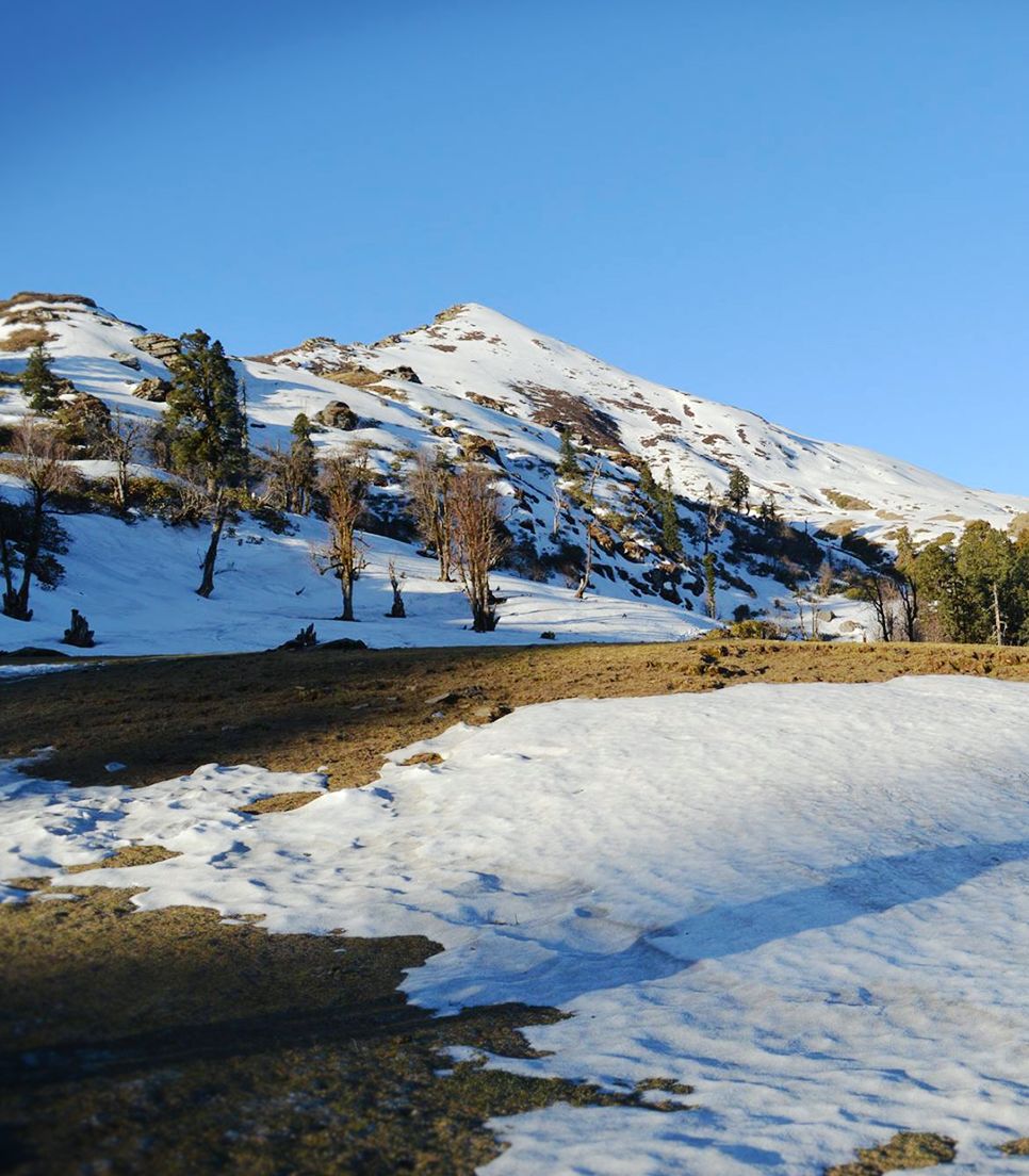 Kedarkantha Trek